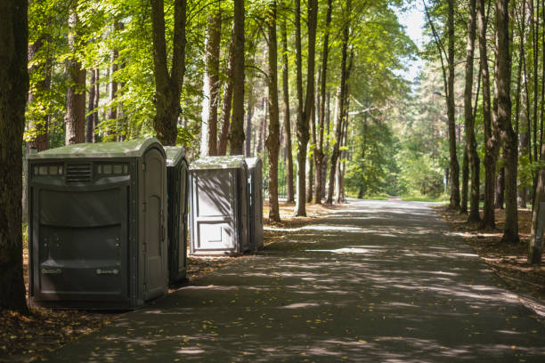 Best Wedding porta potty rental  in South Hill, VA